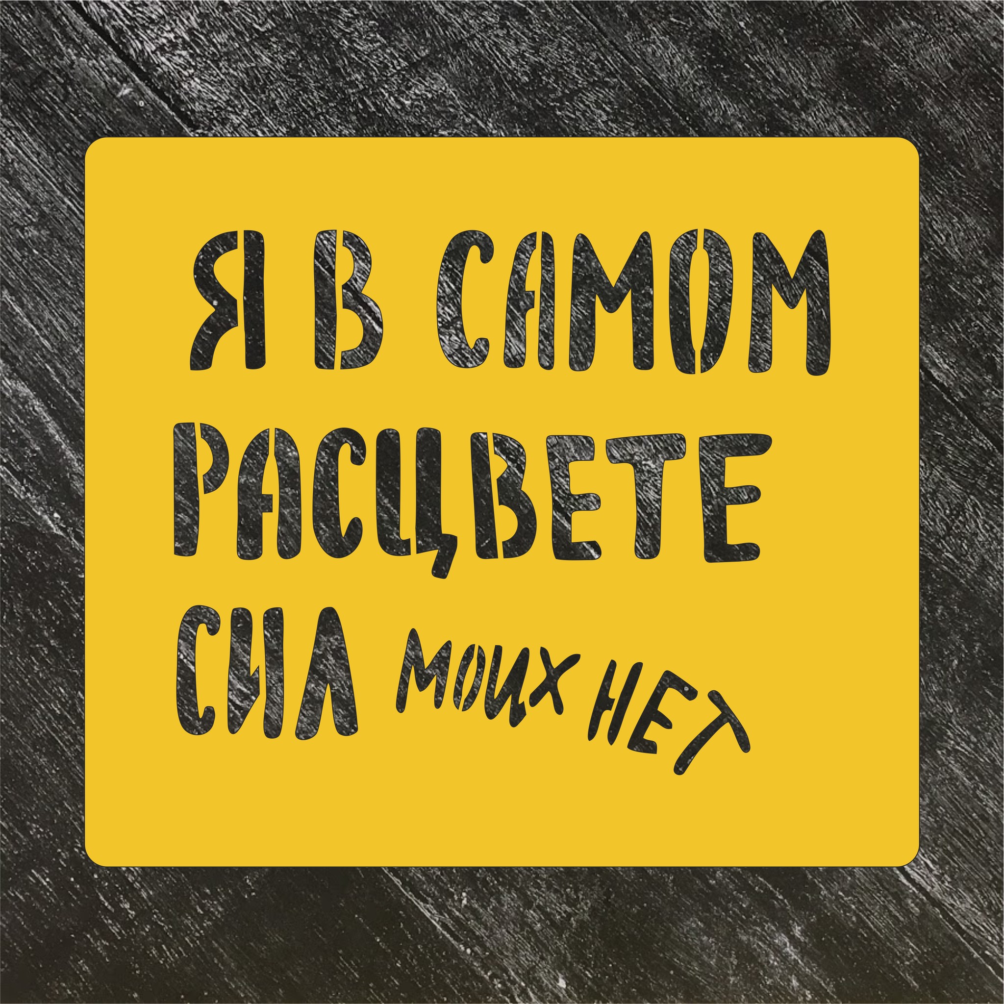 Трафарет "Я в самом расцвете сил" №1