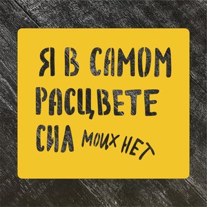 Трафарет "Я в самом расцвете сил" №1